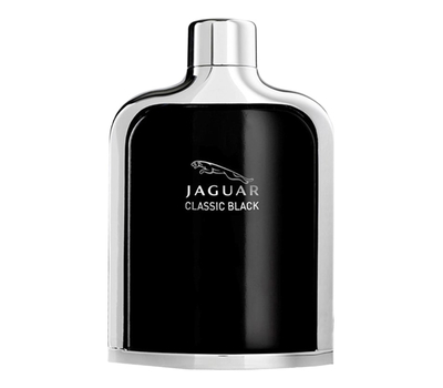 Jaguar Classic Black 111995