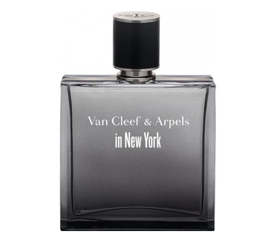 Van Cleef & Arpels in New York 119295