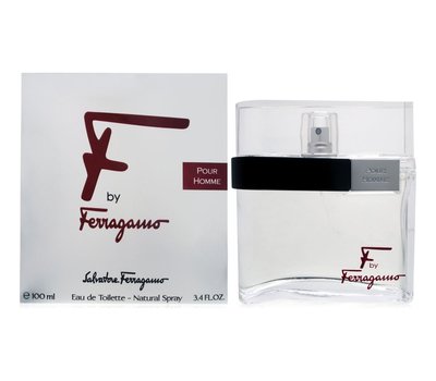 Salvatore Ferragamo F By Ferragamo Pour Homme 124382