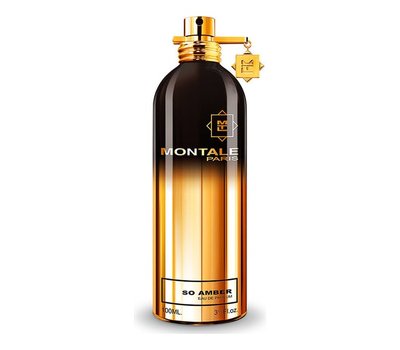 Montale So Amber 43714