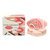 Emilio Pucci Sabbia 167 65181